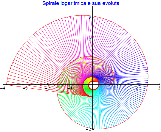 Graphics:Spirale logaritmica e sua evoluta